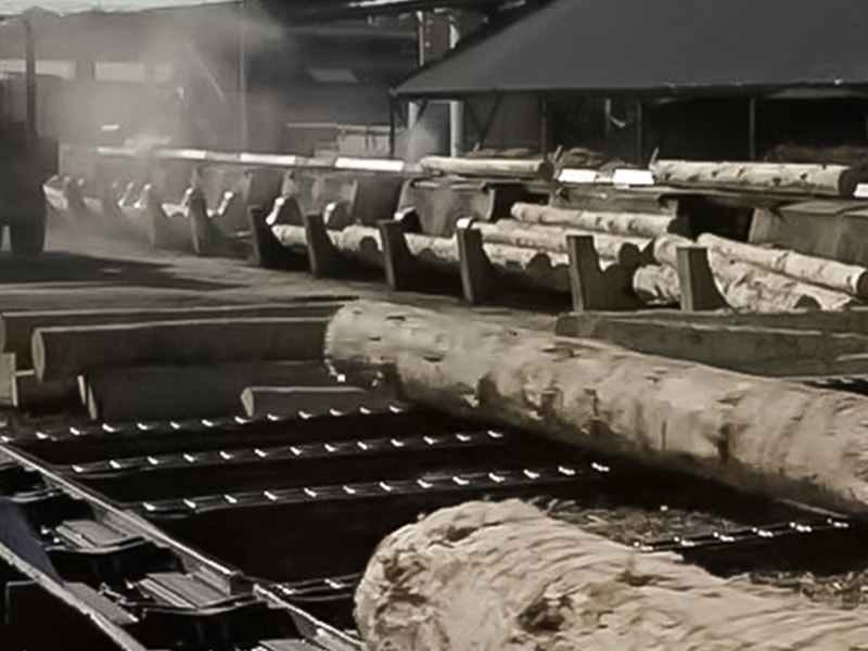 Wood processing